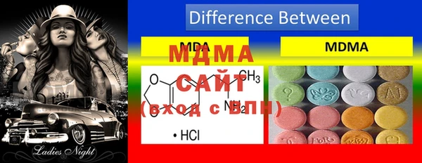 шишки Верея