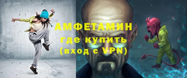 шишки Верея