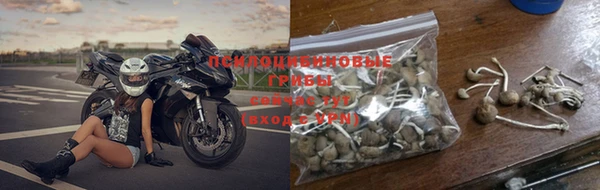 винт Верхний Тагил