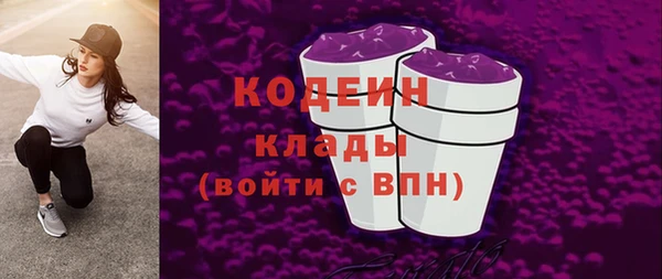 шишки Верея