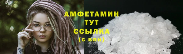 шишки Верея