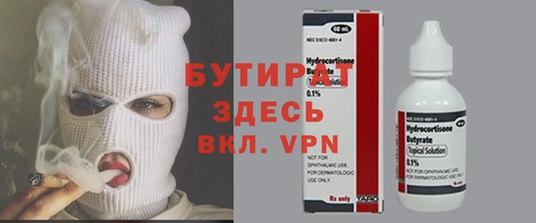 шишки Верея