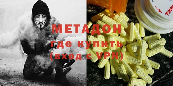 шишки Верея