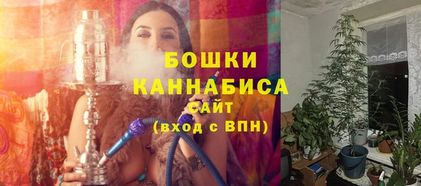 шишки Верея