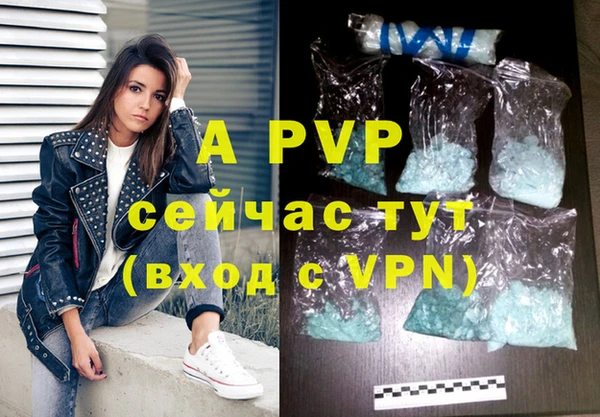 шишки Верея