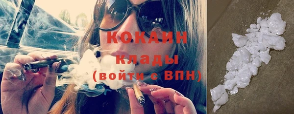 шишки Верея