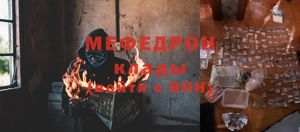 шишки Верея